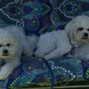 Meet your Posher, Luce